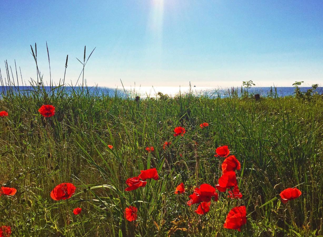 Strandresort Prora - Wg 114 Mit Meerblick Binz Kültér fotó